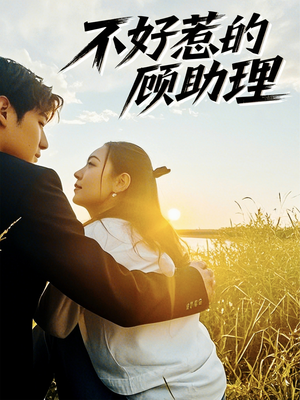 不好惹的顾助理(67集) 不好惹的顾助理(67集)一共多少集