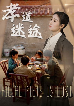 孝道迷途(50集) 孝道迷途(50集)全集