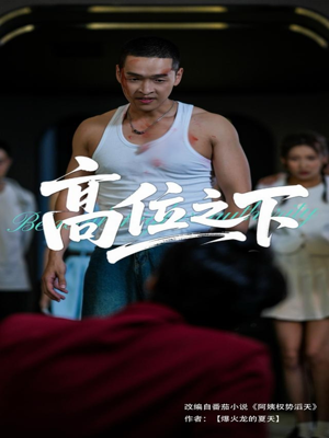 高位之下(65集) 高位之下(65集)免费短剧合集