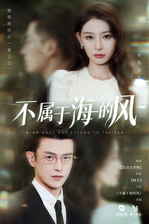 不属于海的风(40集) 不属于海的风(40集)最热短剧推荐
