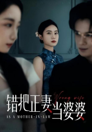 错把正妻当婆婆(46集) 错把正妻当婆婆(46集)看过的人都说好