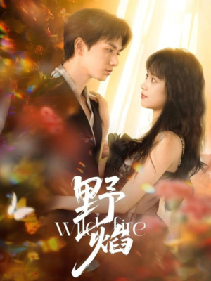 野焰(60集) 野焰(60集)短剧看全集