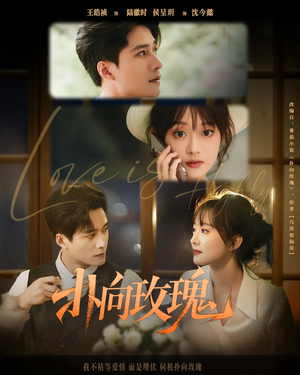 扑向玫瑰（77集）在哪里可以看