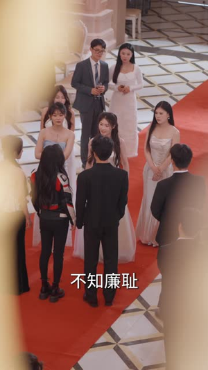 野玫瑰风情撩人(85集) 野玫瑰风情撩人(85集)第一季