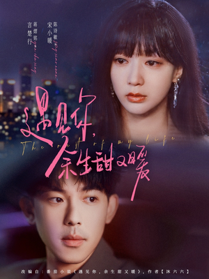 遇见你余生甜又暖(70集) 遇见你余生甜又暖(70集)短剧排行榜