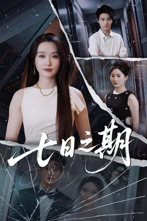 七日之期(90集) 七日之期(90集)高质量短剧推荐