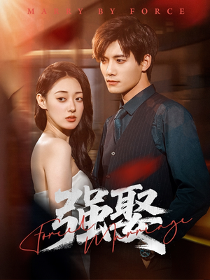 强娶(80集) 强娶(80集)最火短剧热播中