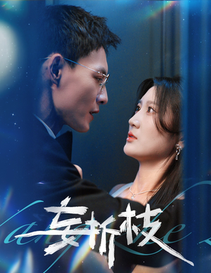 妄折枝(53集) 妄折枝(53集)短剧看全集