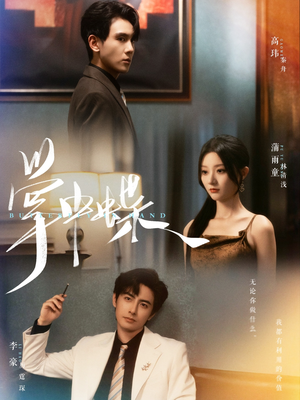 掌中蝶(84集) 掌中蝶(84集)演的怎么样