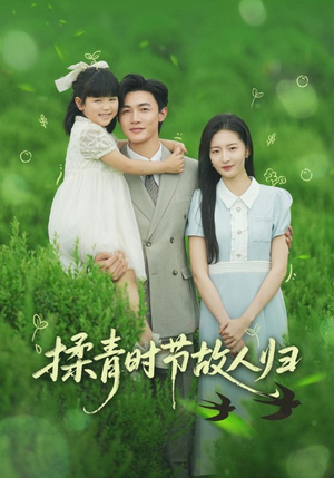 揉青时节故人归（60集）一口气追完短剧