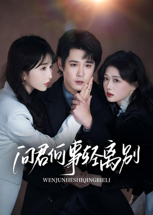 问君何事轻离别(30集) 问君何事轻离别(30集)全集我都看完了