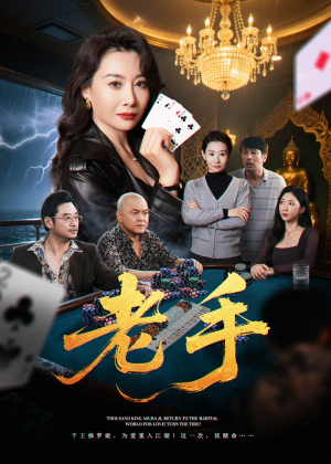 老手(36集) 老手(36集)好看的短剧