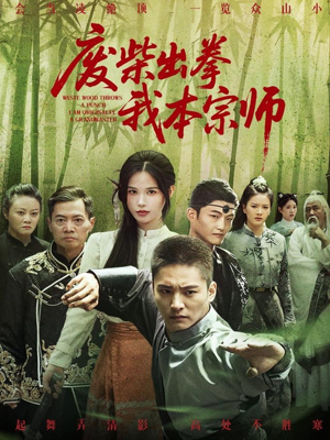 废柴出拳我本宗师（61集）免费短剧完整版
