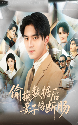 偷换数据后妻子悔断肠（63集）精彩短剧上线