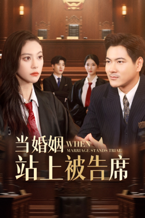 当婚姻站上被告席（30集）红果短剧免费看