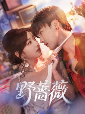 野蔷薇（60集）在哪里看