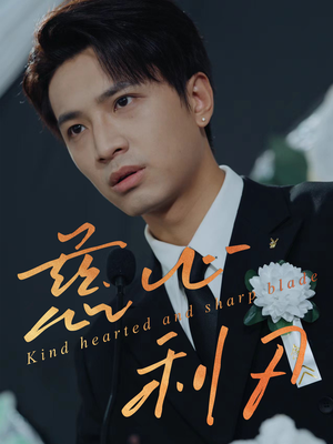 慈心利刃（30集）全剧看到大结局