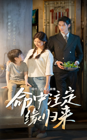 命中注定缘归来（63集）免费热门短剧