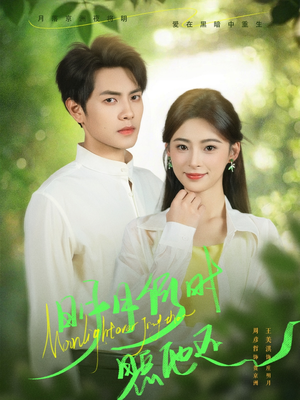 明月何时照他还（73集）免费短剧大全