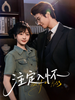 注定入怀(70集) 注定入怀(70集)剧情简介