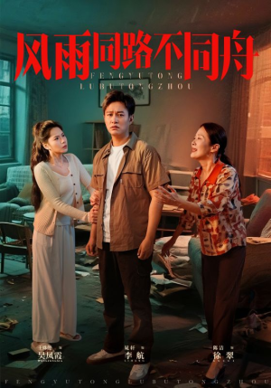 风雨同居不同舟(32集) 风雨同居不同舟(32集)大结局