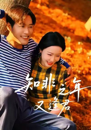 知非之年又逢君（62集）红果免费短剧