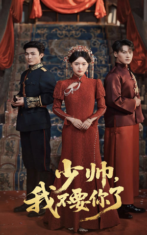 少帅我不要你了（60集）真的好看吗