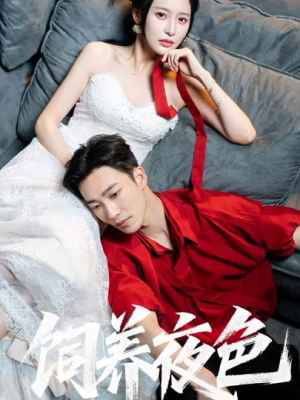 饲养夜色（86集）1-102集