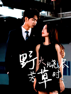 野火烧尽芳草时（65集）短剧有好货推荐