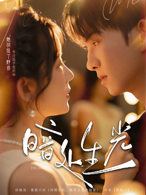 暗处生光(82集) 暗处生光(82集)简直不要太好看