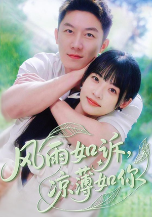 风雨如诉凉薄如你（70集）短剧上热门