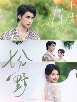 七分野（78集）我真的爱了