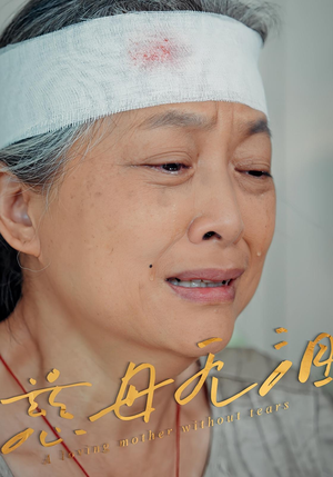 慈母无泪(30集) 慈母无泪(30集)独家资源免费看