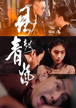 风起青岚（96集）独家资源免费看