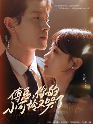 傅总你的小可怜又哭了(80集) 傅总你的小可怜又哭了(80集)网上可以看吗