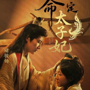 命定太子妃(63集) 命定太子妃(63集)全集完整版