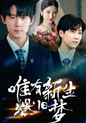 唯有新生燃旧梦(55集) 唯有新生燃旧梦(55集)短剧在线观看