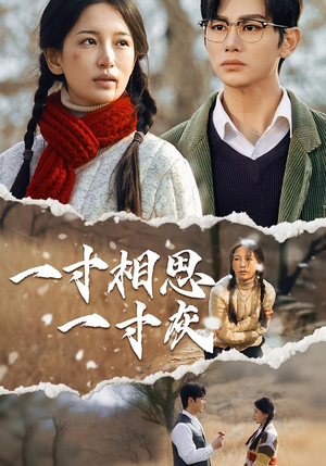 一寸相思一寸灰(43集) 一寸相思一寸灰(43集)短剧全集免费看