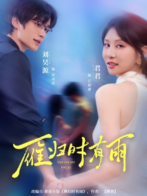 雁归时有雨(84集) 雁归时有雨(84集)在线看免费版