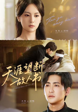 天涯望断故人书(60集) 天涯望断故人书(60集)独家内容免费看