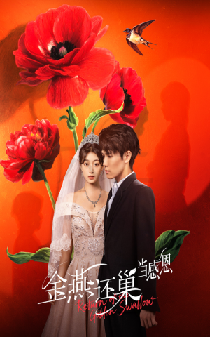 金燕还巢当感恩（55集）免费短剧推荐