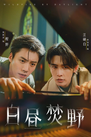 白昼焚野(70集) 白昼焚野(70集)排行榜前十短剧