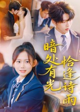 暗处有光恰逢诗雨(70集) 暗处有光恰逢诗雨(70集)短剧演员排行榜