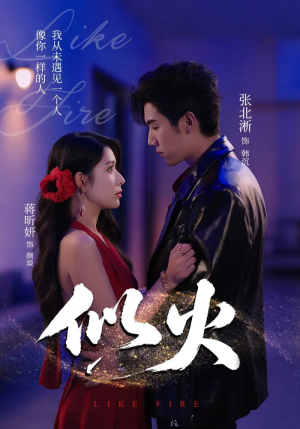 似火(80集) 似火(80集)精彩好看短剧