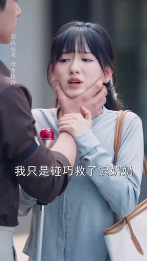 迟先生太太到处跑（73集）全剧免费观看