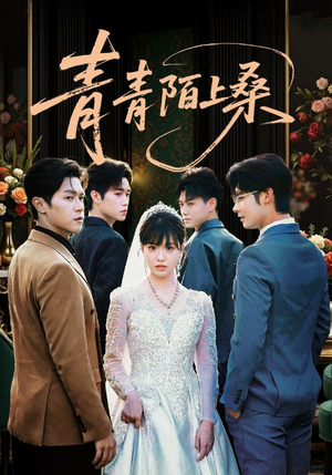 青青陌上桑(70集) 青青陌上桑(70集)火爆热门短剧