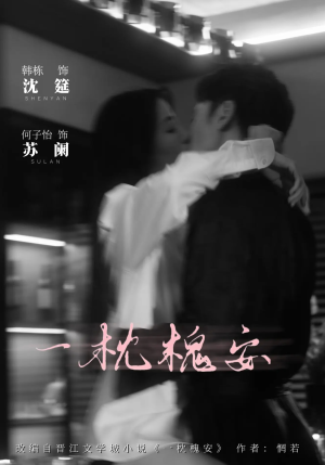 一枕槐安（80集）最热短剧抢先看