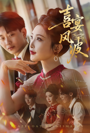 喜宴风波&替罪伴娘（30集）穿越短剧推荐
