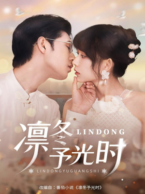凛冬予光时(60集) 凛冬予光时(60集)短剧视频分享