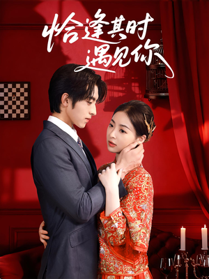 恰逢其时遇见你(60集) 恰逢其时遇见你(60集)推荐你们也去看